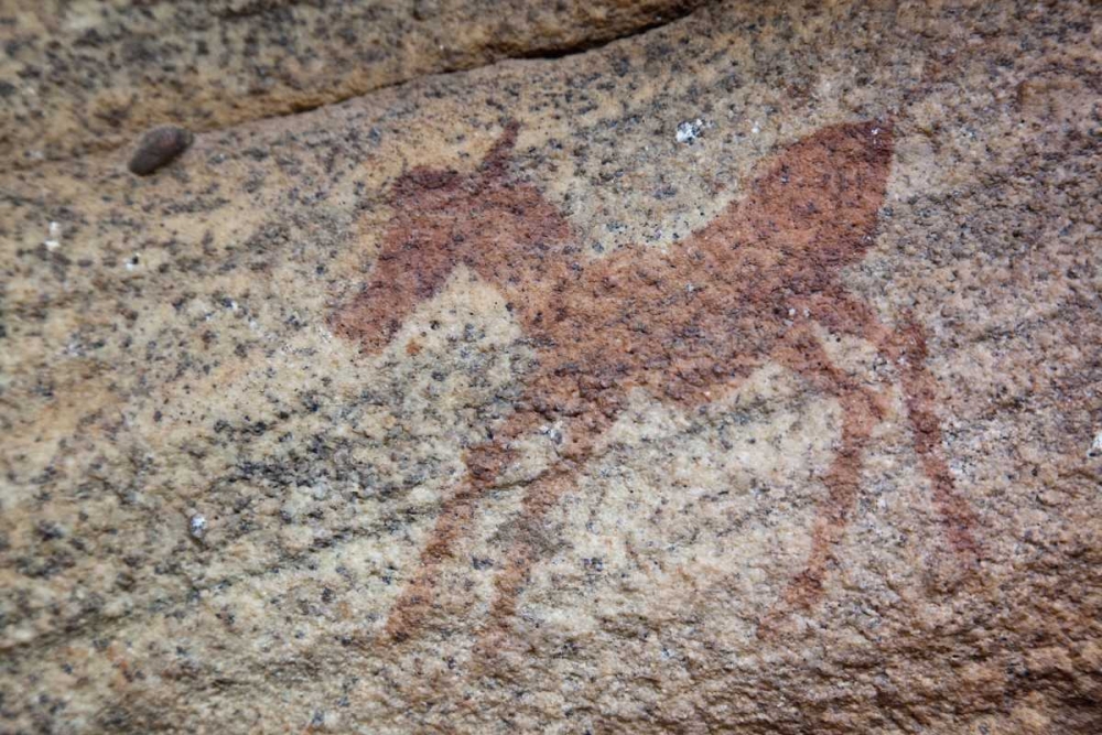 Rock art of zebra, Sevilla Trail, South Africa
